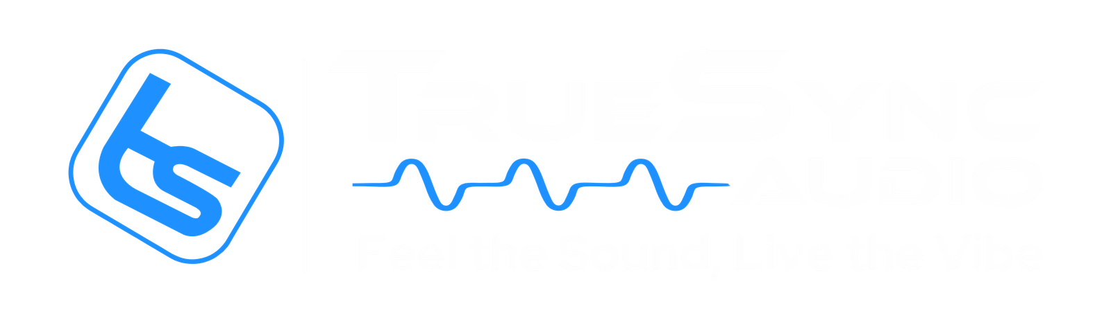 TrueSync Audio
